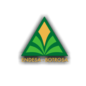 Endesa Botrosa